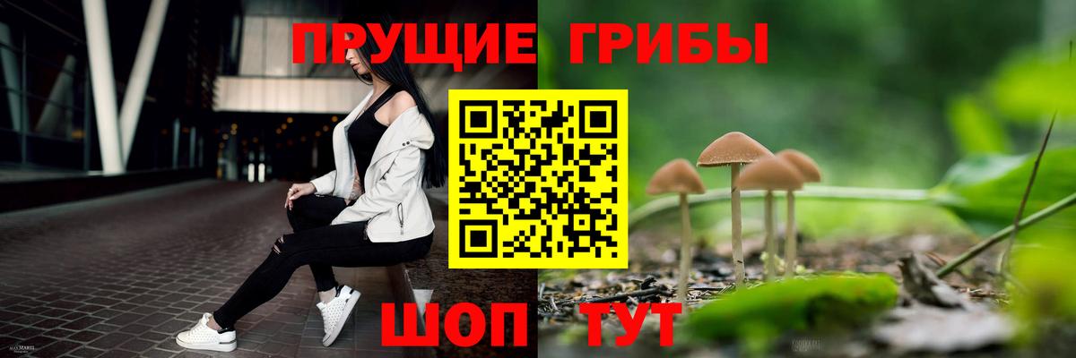 Соль-Илецк  Псилоцибиновые грибы ЛСД  Вход с VPN 